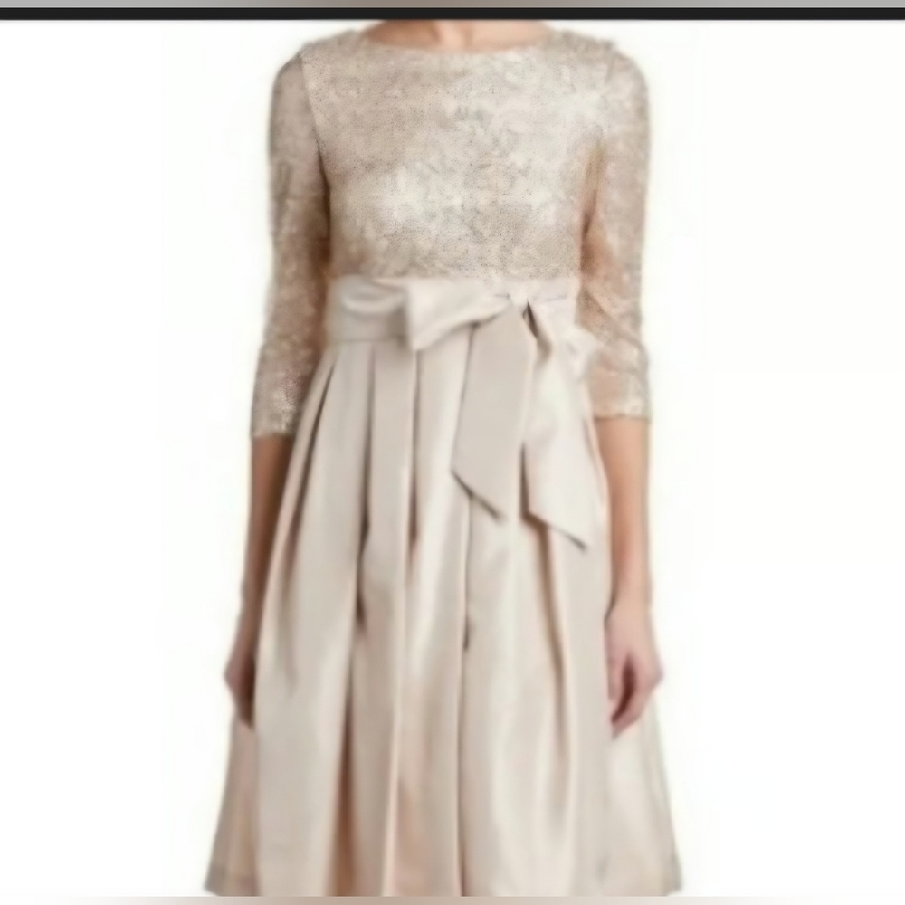 Sparkling Lace Champagne Dress